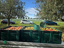 Die Boxen auf dem Anhänger sind gut gefüllt