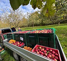 Boxen, Kisten, Säcke. Alles prall gefüllt und bereit zum Abtransport