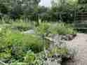 naturschutzhof_sommer_2020_05.jpeg